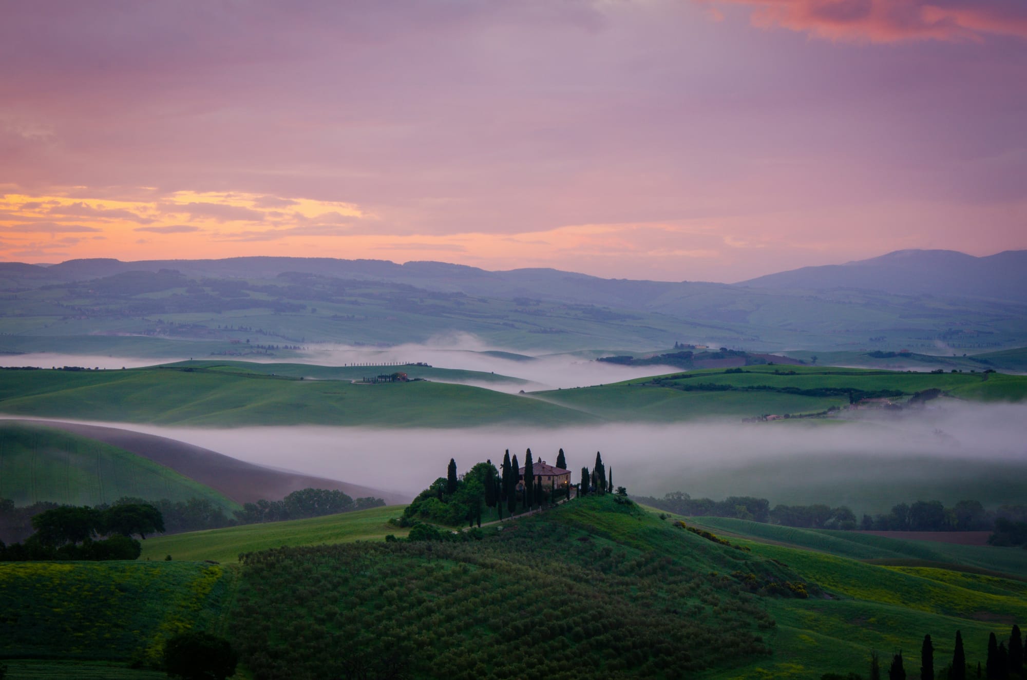 Pink sunrise over the rolling hills and cypress trees of Val d'Orcia, Tuscany.